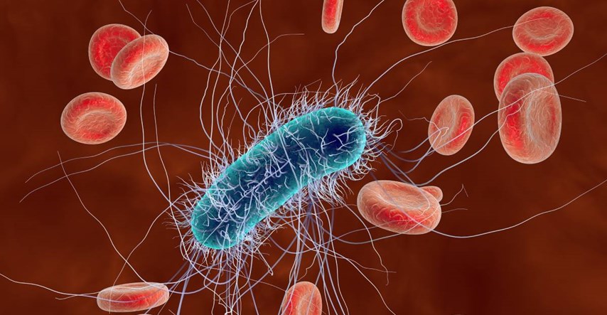 Sve više ljudi umire od bakterija otpornih na antibiotike, ovo su najopasnije